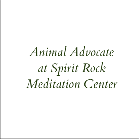 Animal Advocate at Spirit Rock