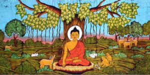 Animals & the Buddha
